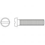 eurostrut-schroef-din-84.jpg