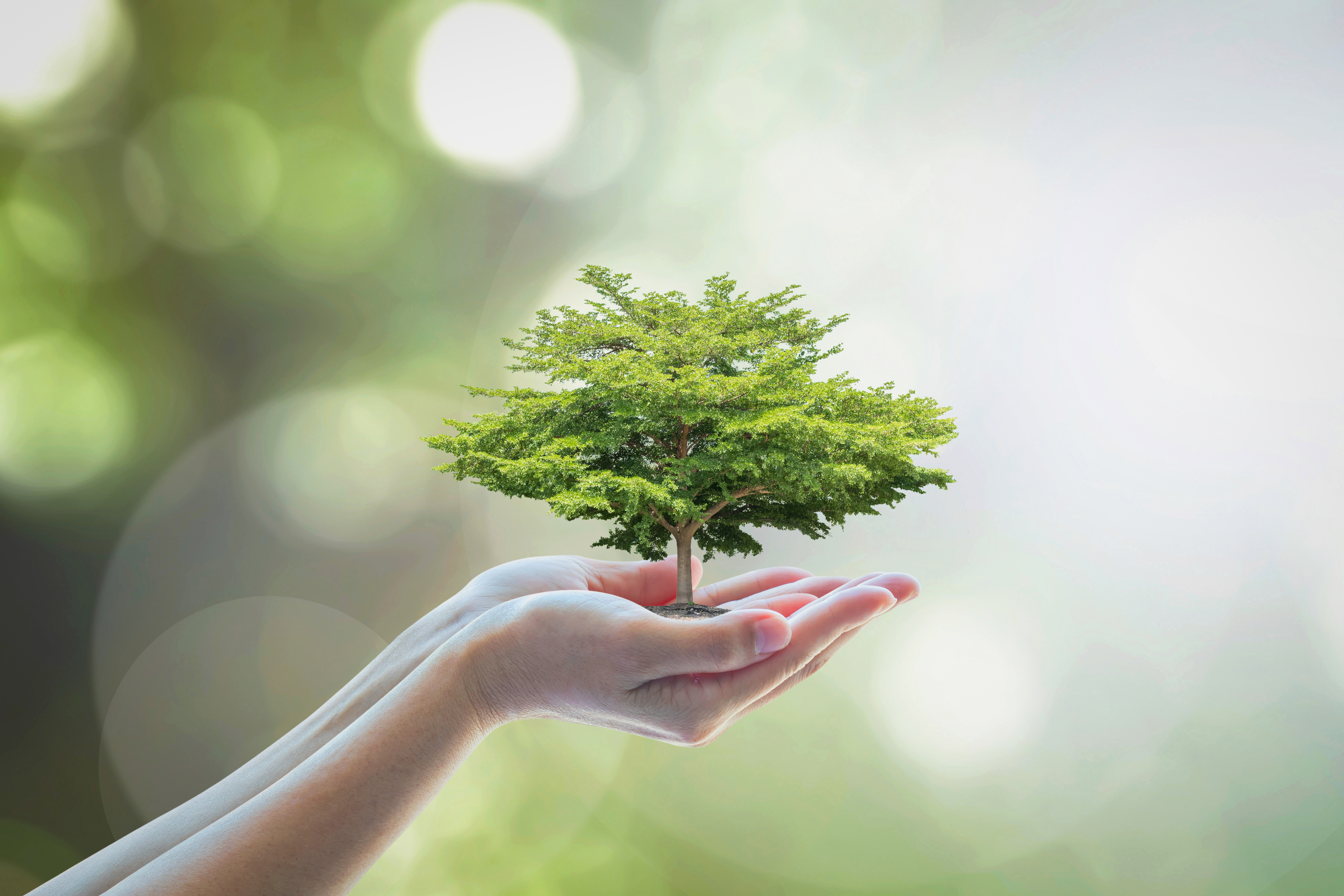 AdobeStock_164138870 AdobeStock_164138870